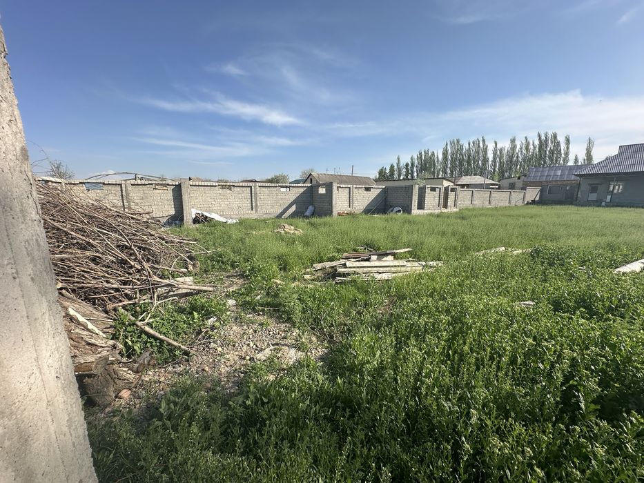 Ферма чорвага кизиканларга зор жой