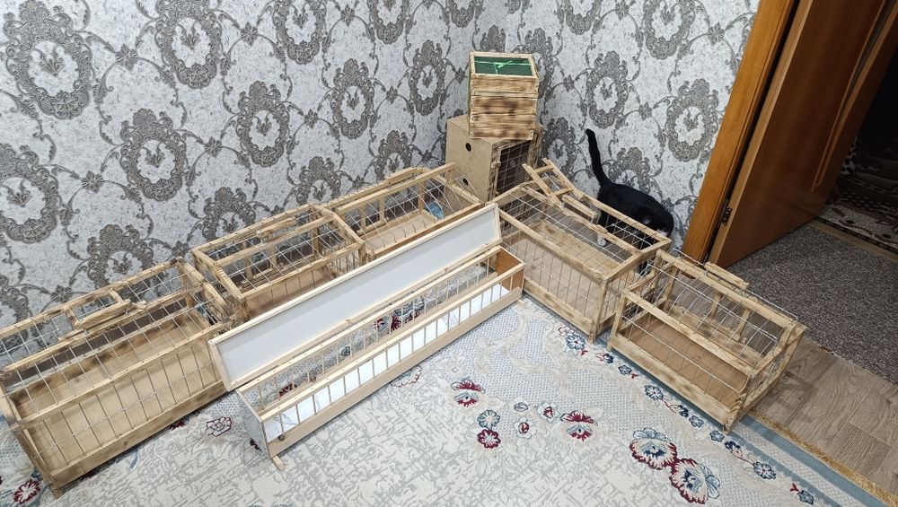 Клетки кормушки гнёзда для голубей