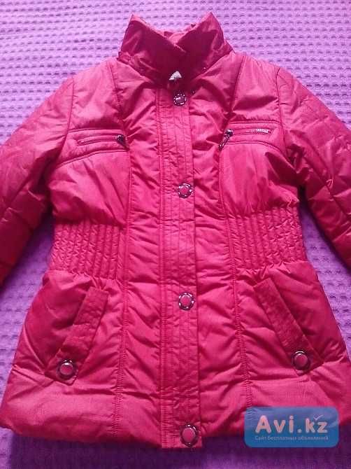 куртки - пальто для девушек