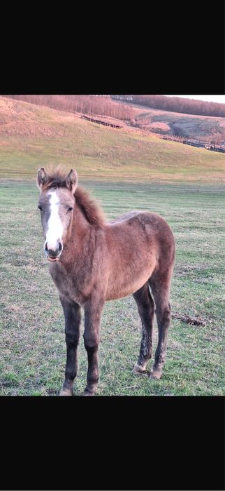 Vand manz )zzhys…!!’sueijei