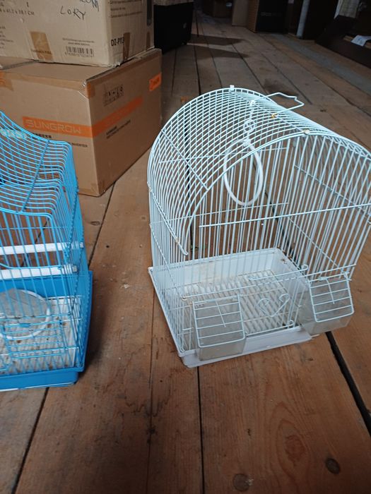 Vand colivii si custi