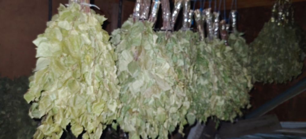 Веники берёза 1200тг