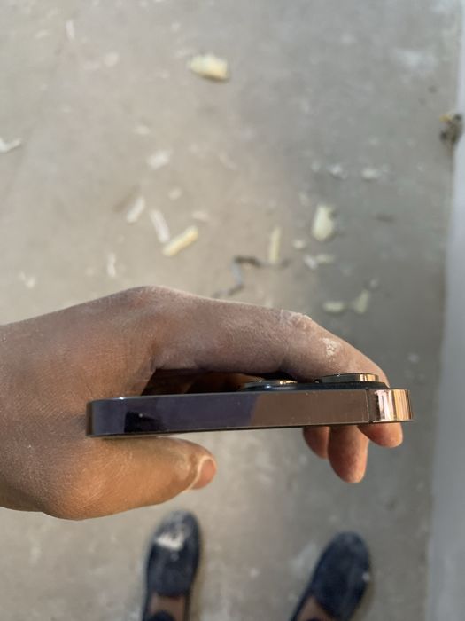 Ipxone 14 pro max idial