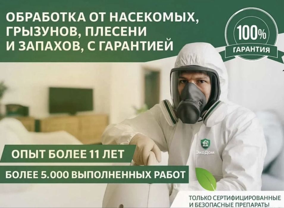 dezinfeksiya dezinseksiya