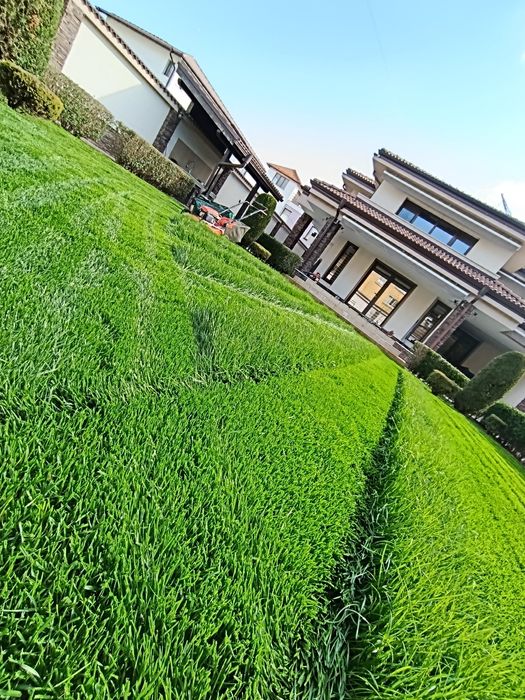 Градински услуги и поддръжка на зелени площи и растителност ULTRA ART