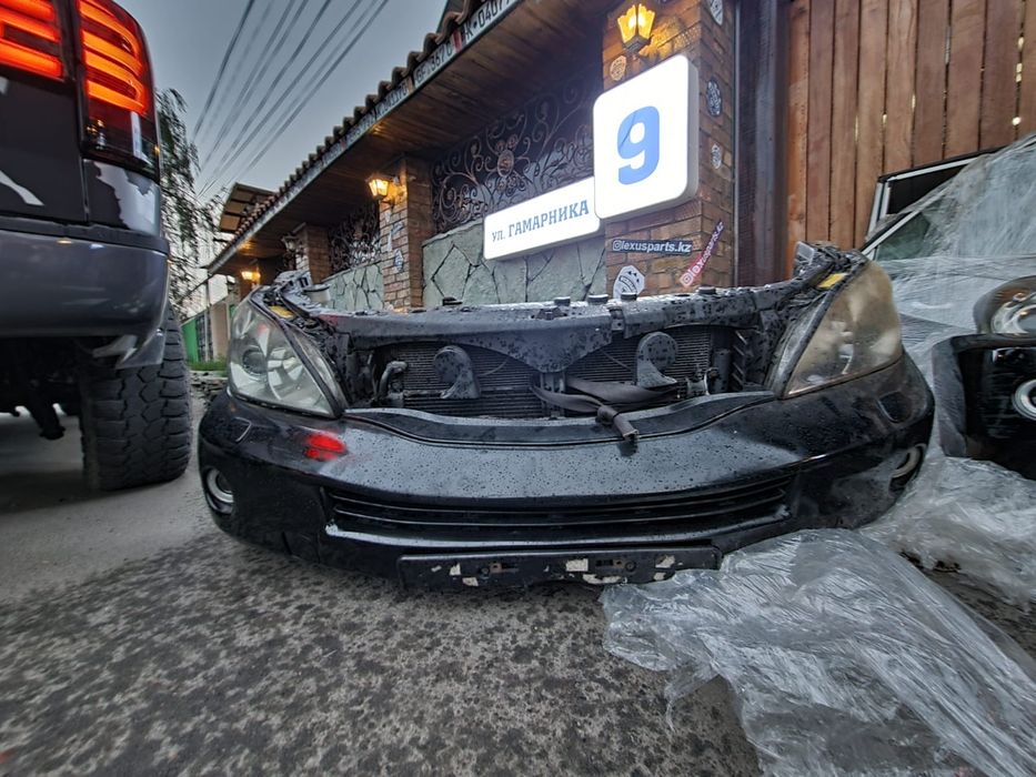 Ноускат I Морда Rx400h