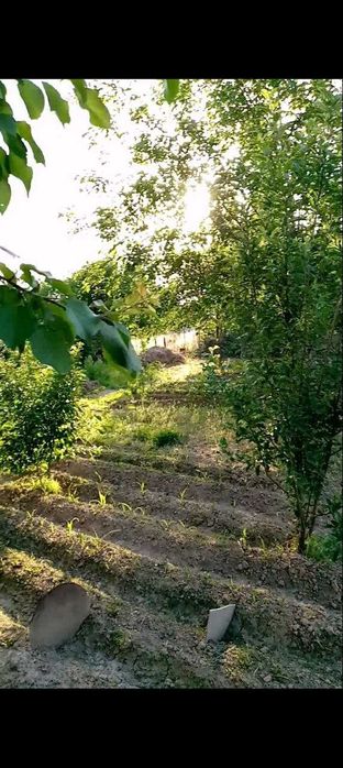 Дача сотилади 6 сотих