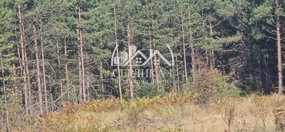 Продава се Парцел в Банско - 4820 кв.м за 37 €/кв.м - Снимка #3