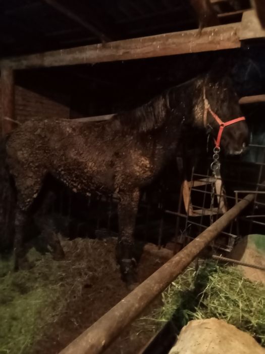 Тай сатыладыыыыы.