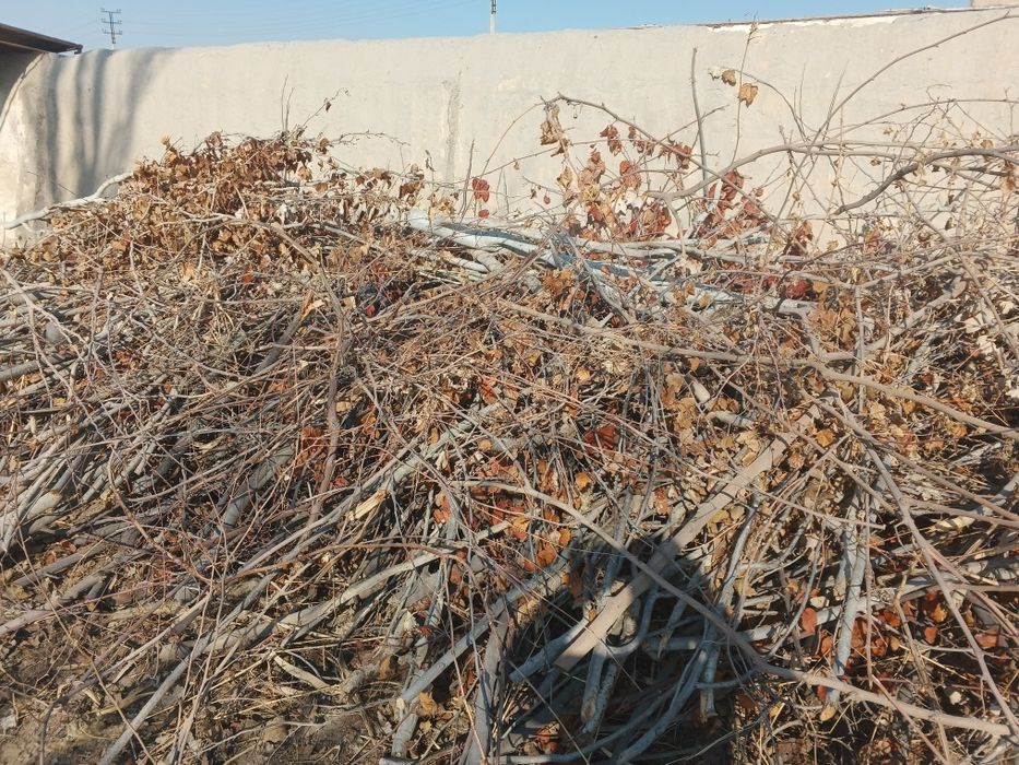 Продам утин дрова