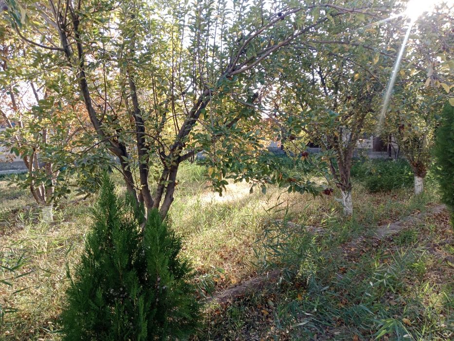 Уй сатылады срочно