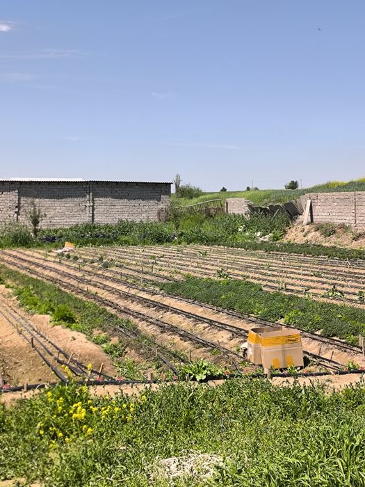 Продается дом 15 соток