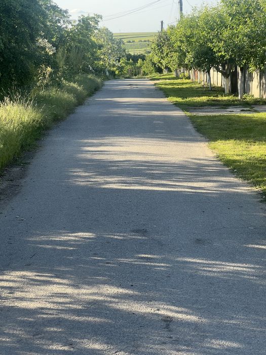 Teren intravilan Pielesti