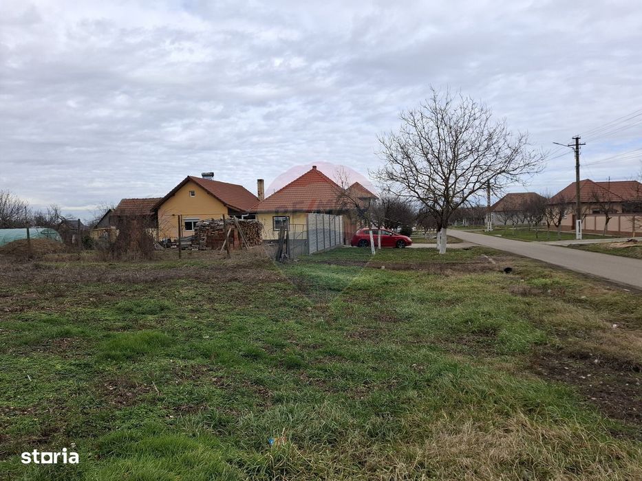 Teren intravilan 1,241mp Frumușeni, Arad