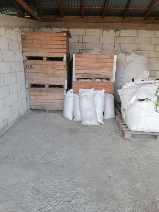 Ovăz soiul Mureșan de vânzare