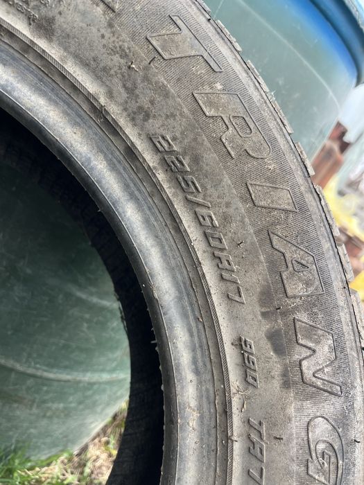 Трианжел шина авто