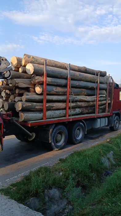 Lemn foc fag buștean fară putregai