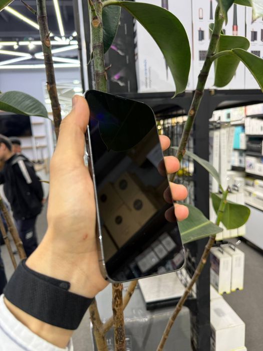 IPhone 13 Pro Max / 128 Gb