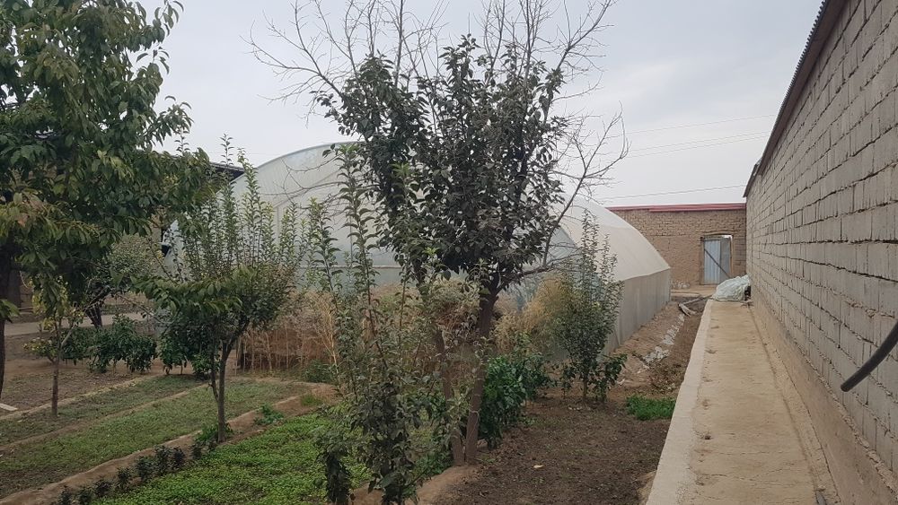 Srochno Xovli-joy sotiladi