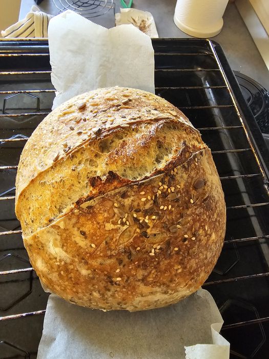 Maia pentru pâine de casă