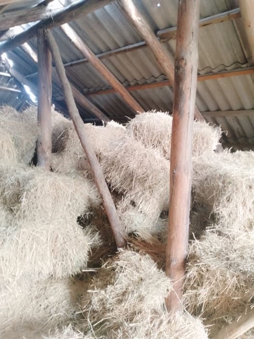 Сено прес большие пресы