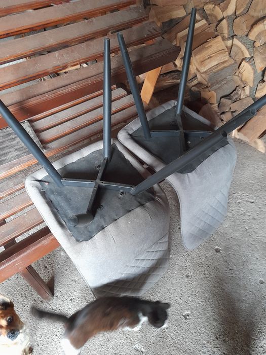 Трапезни столове 4бр.