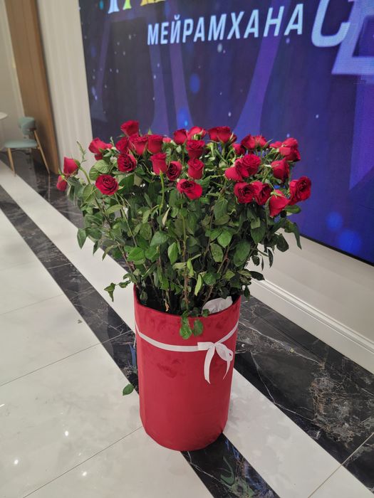 Продам цветы недорого