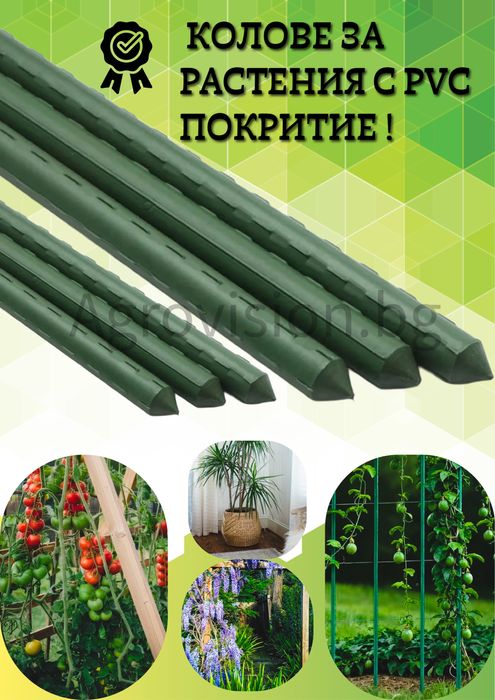 КOЛОВЕ за растения