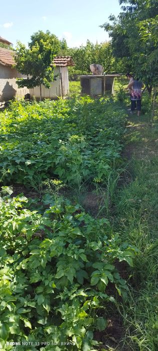 Продава се къща в с.Садовец-Плевенско .86 квадрата къща.На два етажа. Двор-560 кв.м.