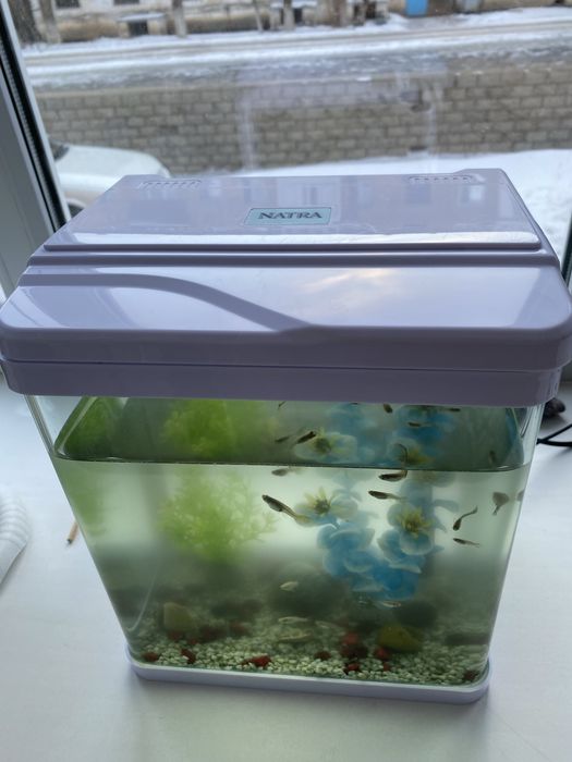 Продам аквариум