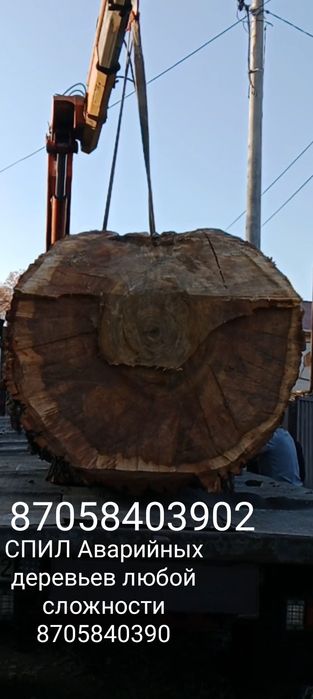 Пилим аварийные деревья!