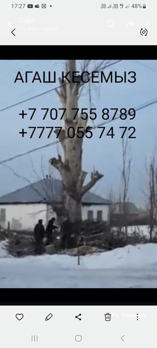 Ағаш кесеміз Алмата
