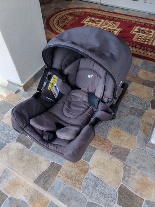 Scoica bebe joie