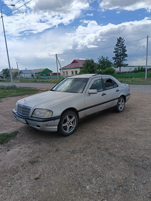Мерседес цешка мерин