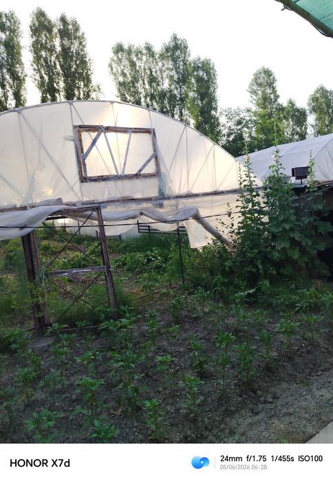 Teplitsa sotiladi