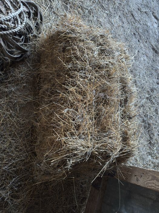 Тук сабан шөп сатылады