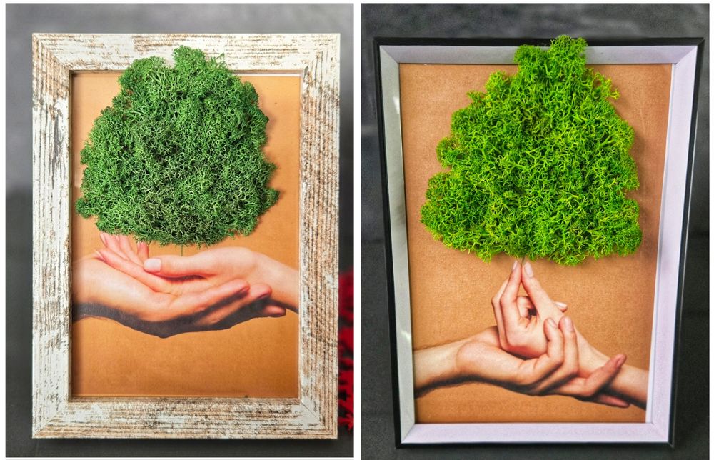 Картини за всеки повод декорирани със скандинавски мъх