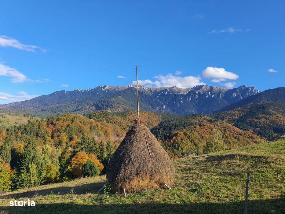 Loturi premium, cu vedere directă către Mt Bucegi