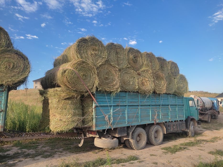 Сено в рулонах жоңышқа