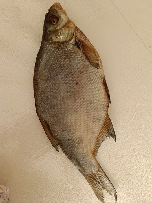 Вяленные рыба отборные