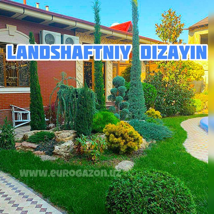 Укладка рулонного газона в ташкенте | Таййор Газон