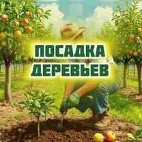 Уборка территории. Очистка участков