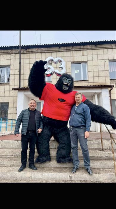 Горилла 12 000 тг