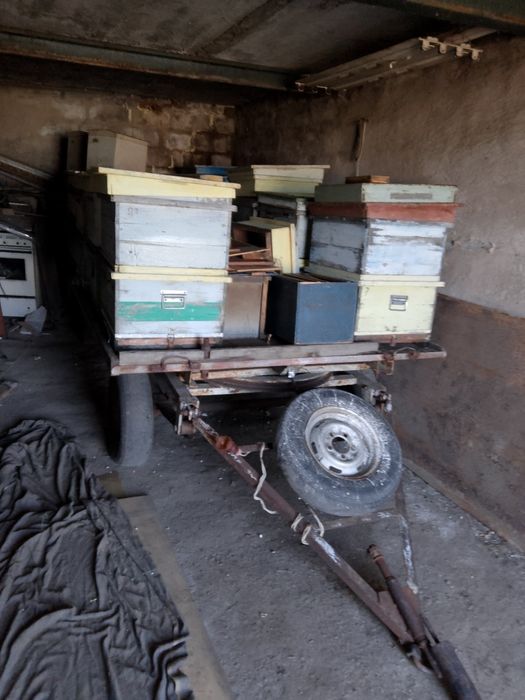 Пасека на колесах.