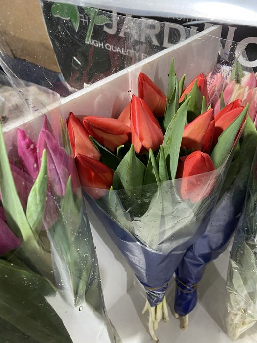 Продам Тюльпаны разных сортов!