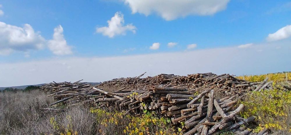 Дървени колове за конструкция на лозя