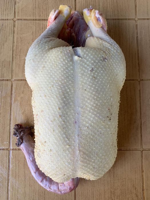 Домашна Еко Патица Патка