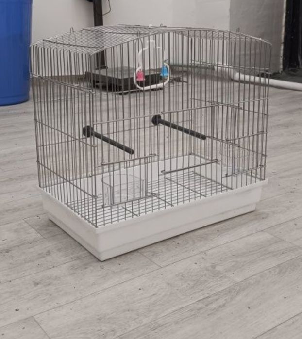 Kletka sotiladi kotta oq rang