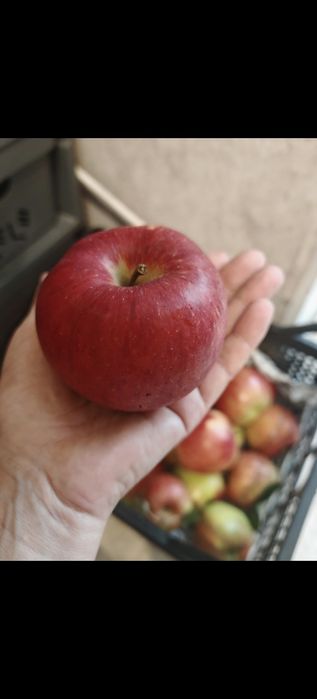 Продам дачу, 2.дачная
