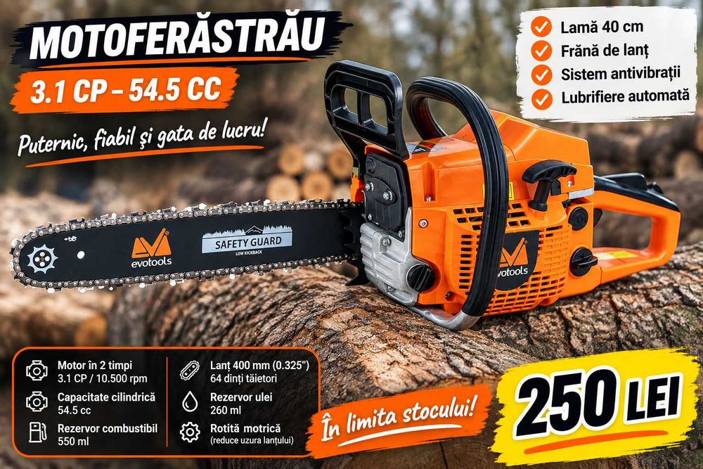 Drujba  PUTERNIC 3.1 CP – 54.5 CC